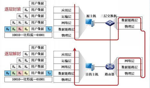 互聯網體系結構 計算機網絡的骨干與演進