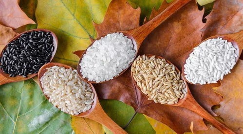 燕麥制品大排名 誰(shuí)是降膽固醇的谷物一把手？